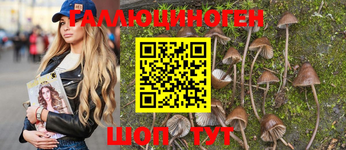 Галлюциногенные грибы Psilocybine cubensis  Вход с VPN  где купить   Канаш 