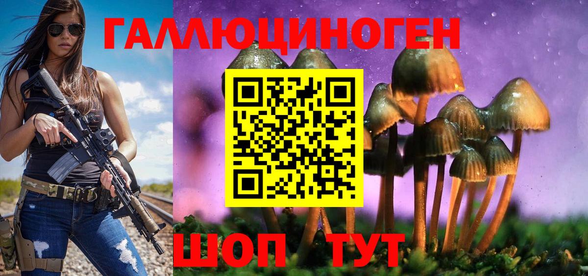 Псилоцибиновые грибы Psilocybe Канаш